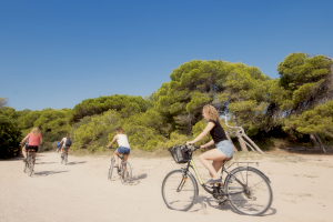 València blinda la Devesa, el mayor espacio forestal de la ciudad con más de 100.000 árboles