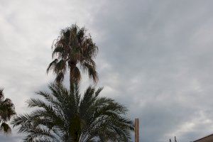 Preemergencia por lluvias: activada la alerta naranja en el sur de la Comunitat Valenciana