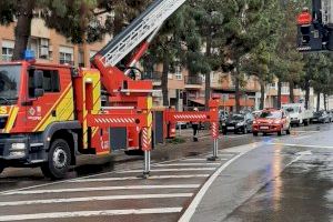 Susto en Burriana al romperse las ramas de un árbol