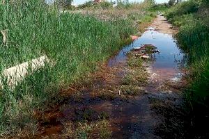 L'Ajuntament de Sagunt reforça els tractaments preventius per a controlar la proliferació de mosquits