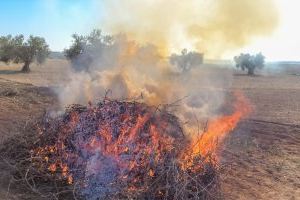 Agricultura accepta la petició de LA UNIÓ i amplia el període de cremes agrícoles fins al 16 de juny