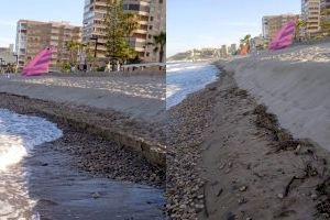 Morro de Gos se manifiesta en Madrid a las puertas del verano