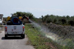 Intensifican la lucha antimosquitos ante la eclosión provocada por las últimas lluvias en el litoral de Castellón