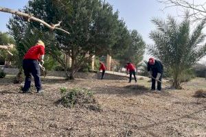 Orihuela recibe una subvención de 438.489 euros del SEPE para la contratación de 60 peones agrícolas y 12 capataces