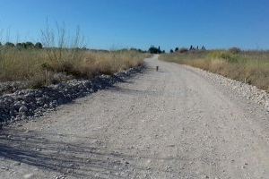 La presència de gossos solts a la Desembocadura del riu Millars continua sent un problema per a l'èxit reproductor de moltes aus