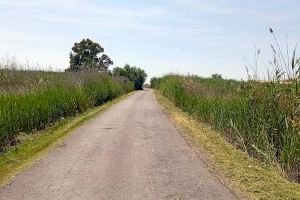 El Consell Local Agrari ejecuta trabajos de mantenimiento en el camino rural del Grau Vell