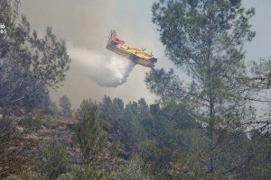 Lucha contra el fuego: 600 profesionales y seis helicópteros vigilarán este verano el monte valenciano
