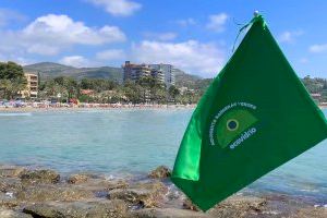 43 municipios de la Comunitat Valenciana competirán este verano por la Bandera Verde de la sostenibilidad de Ecovidrio