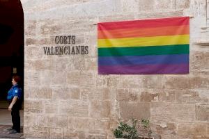 La bandera LGTBI penja en Les Corts a tres dies de la nova legislatura