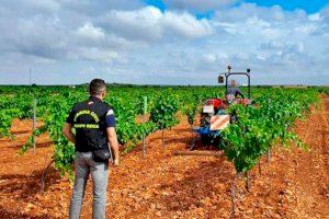 LA UNIÓ destaca que sólo el 5% de las infracciones por inspecciones de trabajo en la Comunitat Valenciana son del sector agrario