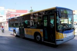 TorrentBus será un 50% más barato hasta que finalice 2023