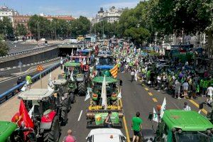 Más de 100 agricultores y ganaderos y 10 tractores de LA UNIÓ han participado hoy en Madrid en una manifestación en defensa del sector 