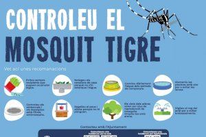 El Ayuntamiento de València ha realizado este año 118 actuaciones contra el mosquito tigre a petición del vecindario