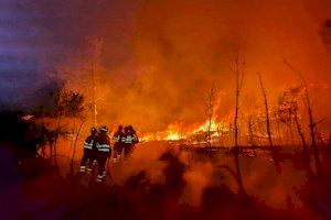 Incendi i desallotjament: la Diputació de Castelló apel·la al record per a previndre incendis