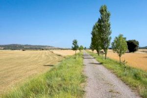 Descobreix els millors camins naturals de la Comunitat Valenciana