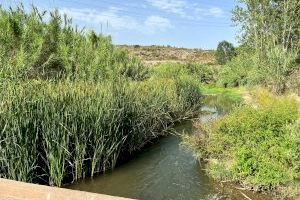 Arrancan los trabajos de adecuación del río Palancia en Soneja