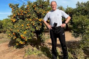 Asarta (VOX) considera “urgente” proteger la naranja de Castellón frente a la competencia desleal de terceros países