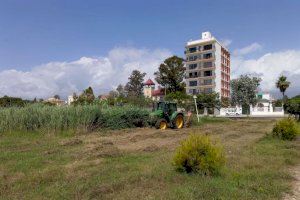 Burriana conclourà amb la neteja de l'Arenal després de 8 anys d'abandó i condicions insalubres