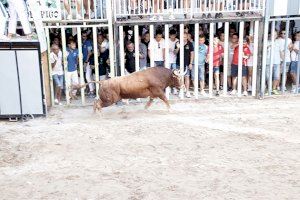 Burriana empieza a perfilar el cartel taurino de la Misericordia