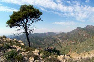 Generalitat saca a información pública el programa de paisaje en suelos de Puçol, Sagunt y Gilet, incluidos en el 'Portal de la Calderona'