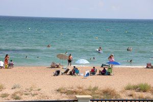 Els termòmetres freguen els 38 °C en la Comunitat Valenciana en el primer dia d'agost