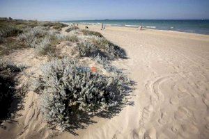 Comencen les obres de regeneració a les platges de València: aquestes són les afectades