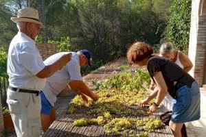 Ròtova celebra per tercer any consecutiu la festa de l’escaldà