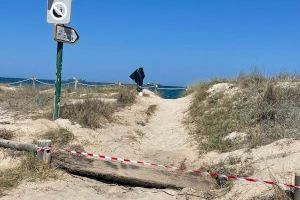 Nuevas pasarelas para acceder a la playa de El Saler