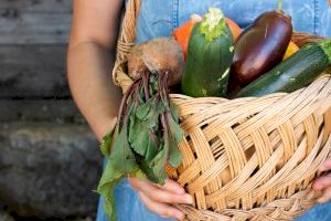 La Llosa acoge un curso para la mejora de la comercialización agroalimentaria y agroturística