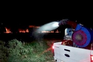 Alzira fumiga contra el mosquit tigre a diversos punts de la ciutat