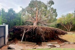 L'Eliana estudia la declaración de zona catastrófica tras el impacto del fuerte temporal el sábado