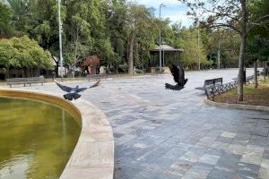 La Concejalía de Sanidad  actúa para controlar la población de palomas en el casco urbano de Orihuela