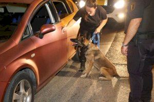 La Policía Local de Sant Joan realiza controles con perros detectores de droga para mejorar la seguridad en espacios públicos 