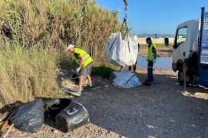 Foios retira 6 tones de runes de la seua platja i apel·la a la responsabilitat de particulars i empreses