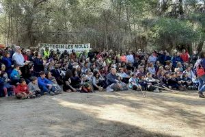 La Coordinadora de les Moles recurrirá la desprotección del paraje natural auspiciada por Sagredo y Puerto Mediterráneo