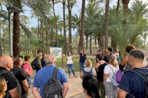 Se reanudan las visitas guiadas al Centro de Interpretación del Palmeral de Orihuela