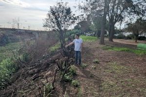Xavi Martí pide al gobierno de Torrent que repare el parque canino de la calle Mineta por el gran peligro que supone la ausencia de barreras