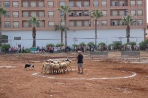 La FIra de Ramaderia i Maquinària Agrícola de Nules suma otro año más en su larga historia con gran participación