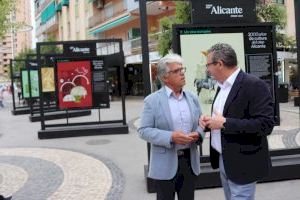 La plaza de la Hispanidad, escenario de la exposición ‘3.000 años de cultura del vino Alicante’