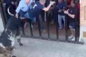 VIDEO | Un fallecido y un herido grave en los ‘bous al carrer’ de la Pobla de Farnals