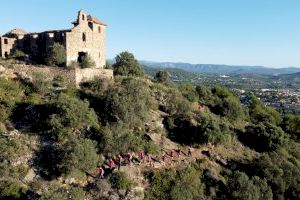 'Caminant Onda' cumple su undécima edición por 10 kilómetros de increíbles paisajes naturales