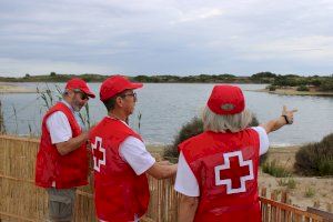 El voluntariado de Cruz Roja en la Devesa – Albufera contribuye a la protección del paraje natural por octavo año consecutivo