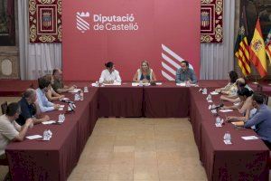 La Diputación de Castellón alega contra la autorización de construcción de la megaplanta fotovoltaica Magda