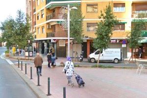 Els veïns d'una plaça de Castelló denuncien que els arbres els generen urticàries