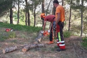 Finalitzen els treballs de neteja en els camins rurals del terme municipal de Canals