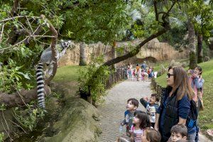 Caixa Popular y la Fundación BIOPARC se unen por la conservación de la biodiversidad