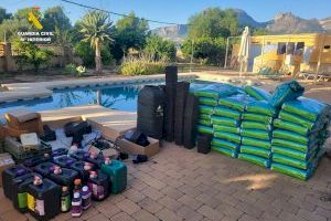 Macroplantación de marihuana en un chalet de Callosa d'En Sarrià: 1.530 plantas escondidas