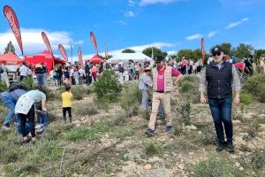 Alicante reúne a más de 2.000 voluntarios este sábado para reforestar el Monte Orgegia