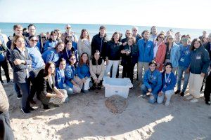 Solta de tortugues a la platja del Saler amb seguiment satelital per conèixer els seus moviments