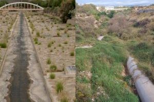 CONTIGO Elche pide convertir el barranco de San Antón en una zona verde urbana